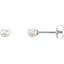 White Freshwater Cultured Pearl Earrings in 925 Sterling Silver
