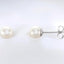 White Freshwater Cultured Pearl Earrings in 925 Sterling Silver