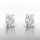 Oval Lab Grown Diamond Stud Earrings in 14kt White Gold